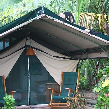 Rafiki Beach Camp Matapalo  Eksteriør bilde