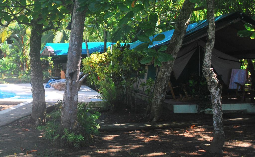 Rafiki Beach Camp Matapalo  Rom bilde