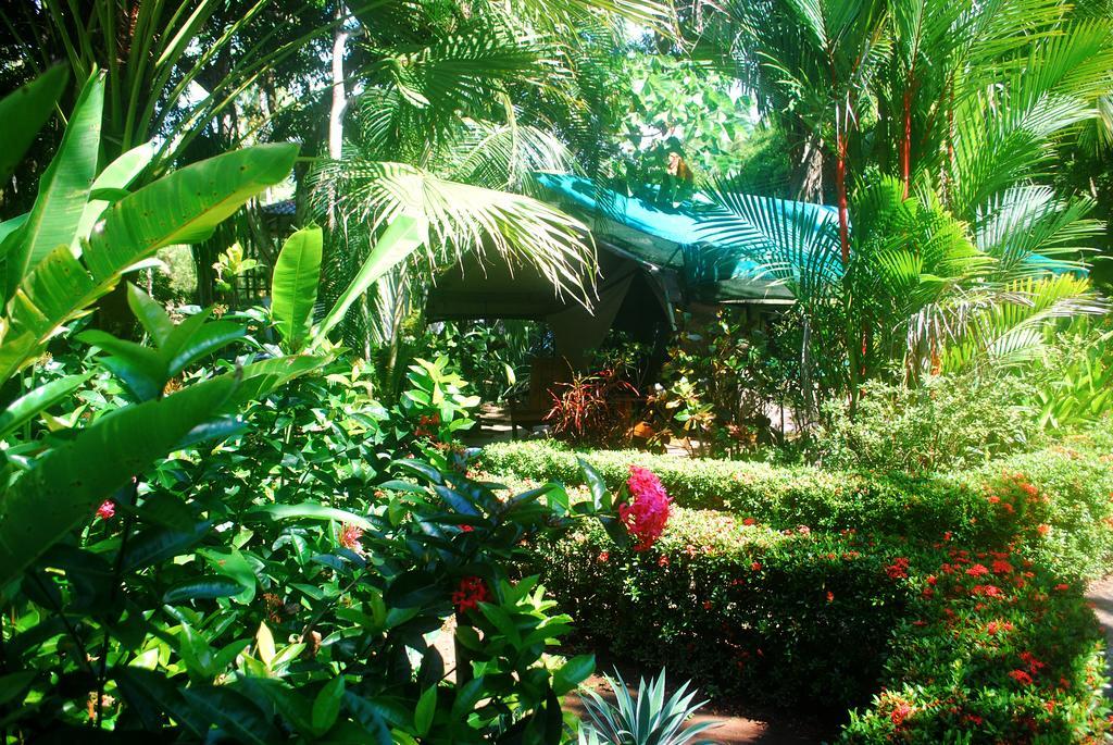 Rafiki Beach Camp Matapalo  Rom bilde